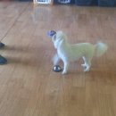 씽크독스쿨 이미지