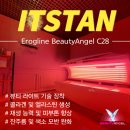엔젤뷰티샵