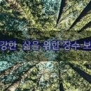 🌲멈춤의 지혜( "바쁘다"는 말의 한자는 "바쁠 망"(忙)자를 사용하는데 ....) 이미지