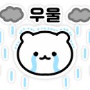 차에 진심인 남자 이미지