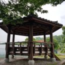 신당리 보호수