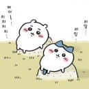 조이너스 | [괌] 예약 방법ㅣ일식 테판야끼 맛집 안심 세트 가격 메뉴 추천_조이너스케야키