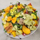 생활원예(반려식물) | 도시민 생활원예 반려식물교육