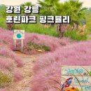 풍경스케치(주간) | 만한곳 2025 운영기간 호린파크 입장 시간 입장료 주차 안내 실시간 후기 비오는 날 현장 스케치 내돈내산