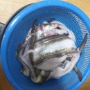 국용농장 이미지