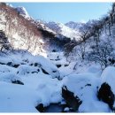 오토오아시스 청주영운점 이미지