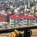 푸드앤푸드 | [서울 용산][식당] 가을에 가면 좋은 남산 브런치 맛집 : 더로얄푸드앤드링크 후기