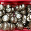 튼실이네전복 이미지