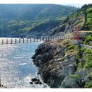 욕지블루 이미지