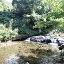 비타민캠핑장 이미지