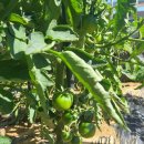 태원 건축사사무소 이미지