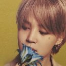 지민48 이미지
