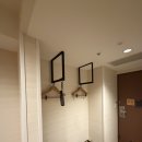 시바(SHIBA) | 도쿄 3인 숙소 시바파크호텔 Shiba Park Hotel 트리플룸 2박 후기