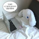 잠비 이미지