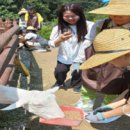 경향농장 이미지