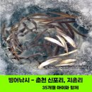 복지낚시터 | 빙어낚시의 성지, 춘천 신포리&amp;지촌리 후기 (34개월 아이와 함께, 2월 중순)