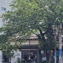 편백로-2 이미지