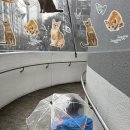 북항대교주유소 | 2402 귀여운 것들과 함께 2월 시작