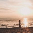 배부르댕 이미지