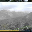 피자스쿨 양산점 이미지