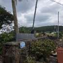 머무른채 이미지