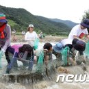 죽곡천 뉴스1