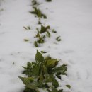 분당야탑3-A-6 이미지