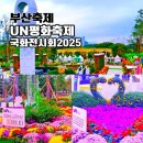 화합의분수 | 평화공원 국화전시회 UN평화축제 2025 부산 남구 행사 주차장 정보