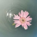 행복으로의초대 | 행복으로의 초대