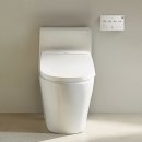 6110 | 노비타 손쉬운 사용 빅버튼 비데(BD-SH6110), 부모님 효도 선물로 딱! 큰 글씨와 방수 리모컨으로 완성...