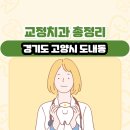 랑스마일치과 | 경기도 고양시 도내동 교정치과 총정리