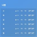 [야간]요가A반 | 나트랑 처음 가본 사람의 4박 6일 솔직 후기 (퓨전 리조트 깜란 풀빌라 숙박)