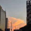 찾아가는 거리콘서트 | &#34;무제 신수&#34;, OTT부터 아이돌 콘서트 감상까지! 찐 행복했던 광흥창역 모임장소 후기