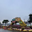 영암곤충박물관 | 영암곤충박물관 후기 (with 두딸)