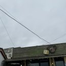 바다와 고양이 | 울산 주전카페 '카페그냥', 바다뷰 보며 힐링하는 고양이카페 후기