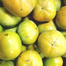 다감농장 이미지