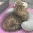 어뮤즈뮤직플레이스학원