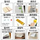 2024년 11월 일상