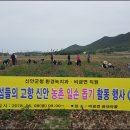 비금면사무소 이미지