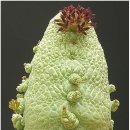 신한행정사 이미지