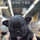 야옹아멍멍해봐(주월점) 네이버블로그