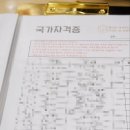 봉숭아네일 이미지