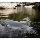 수경대 계곡팬션 민박 이미지