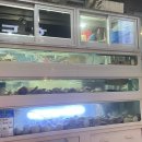 서진메디칼 | [부산 식당] 더가리비