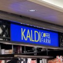 웨이팅편의점 | 3일 혼자여행 | 하나오카 히쯔마부시 웨이팅 후기, 이치란 라멘, 편의점 간식, 돈키호테 칼디 쇼핑리스트