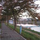 오랍드리 이미지