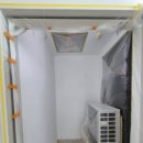 비봉페인트