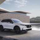 V-6 뉴스1