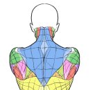 강남슈퍼 이미지