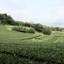 제주 올레길 14-1코스 이미지